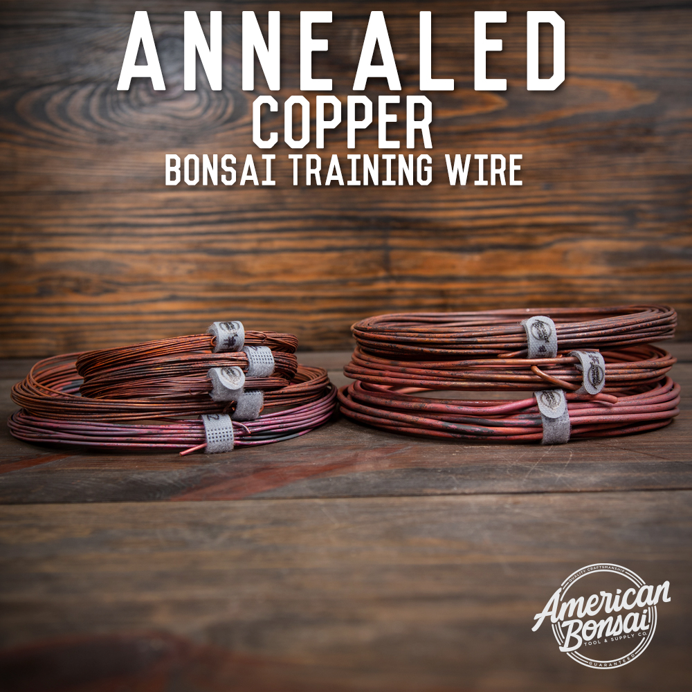 Copper Wire — Best Coast Bonsai
